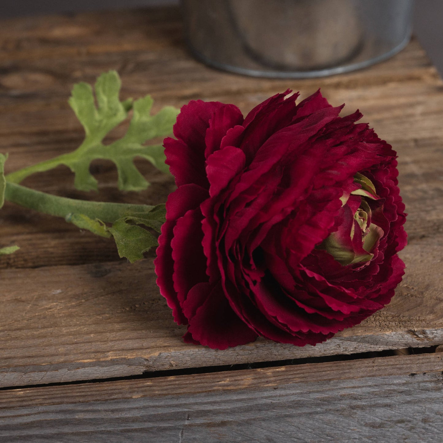 Red Ranunculus Spray