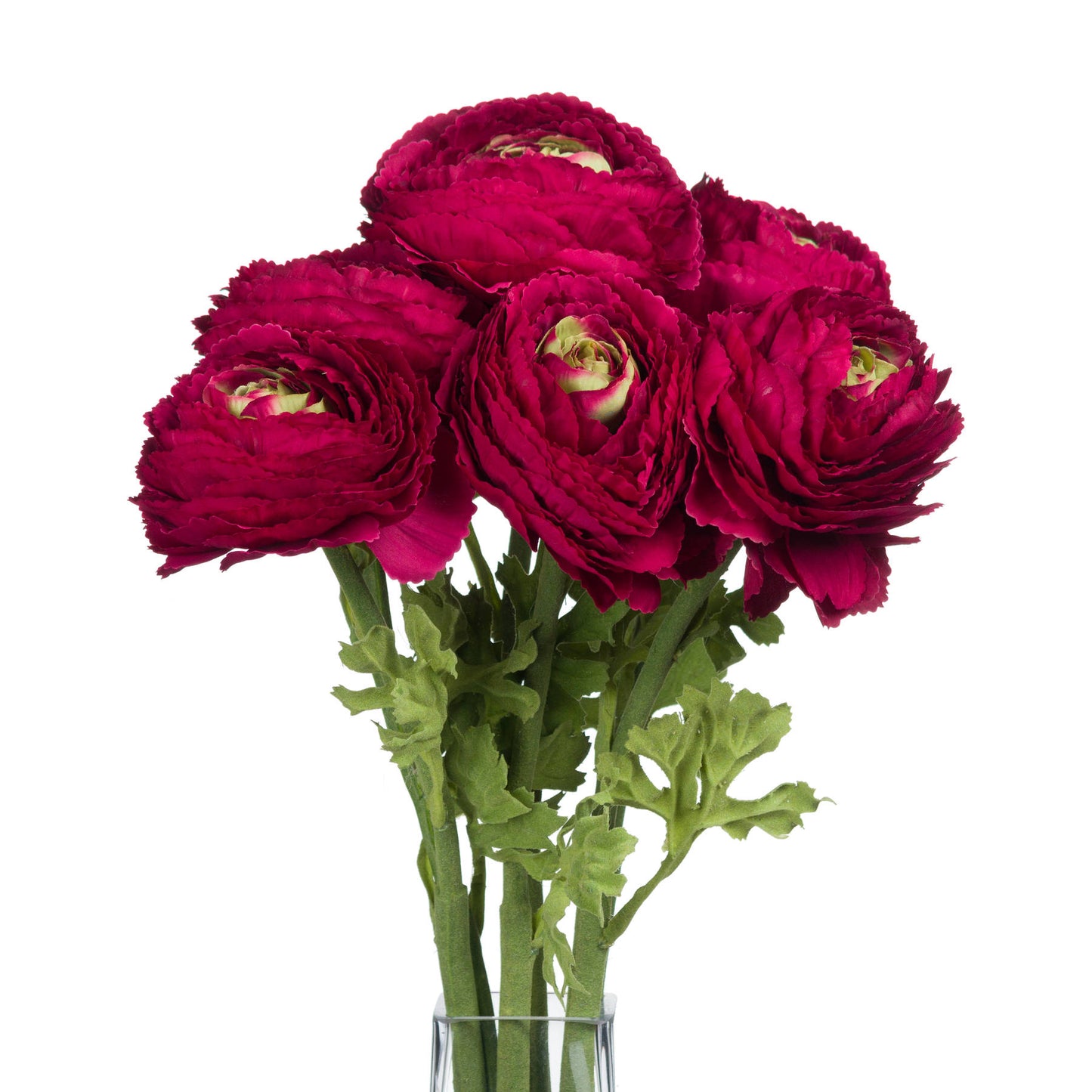 Red Ranunculus Spray