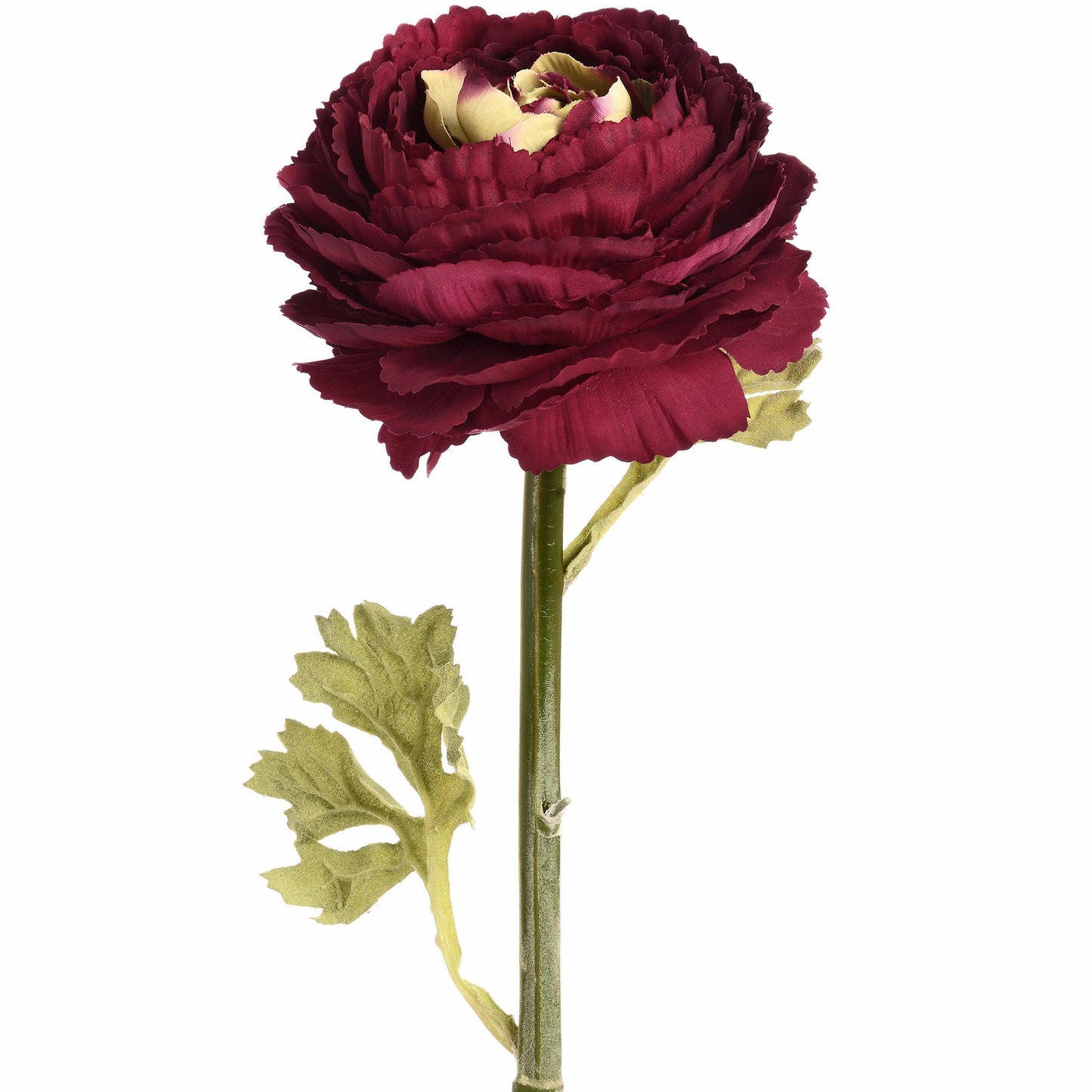 Red Ranunculus Spray