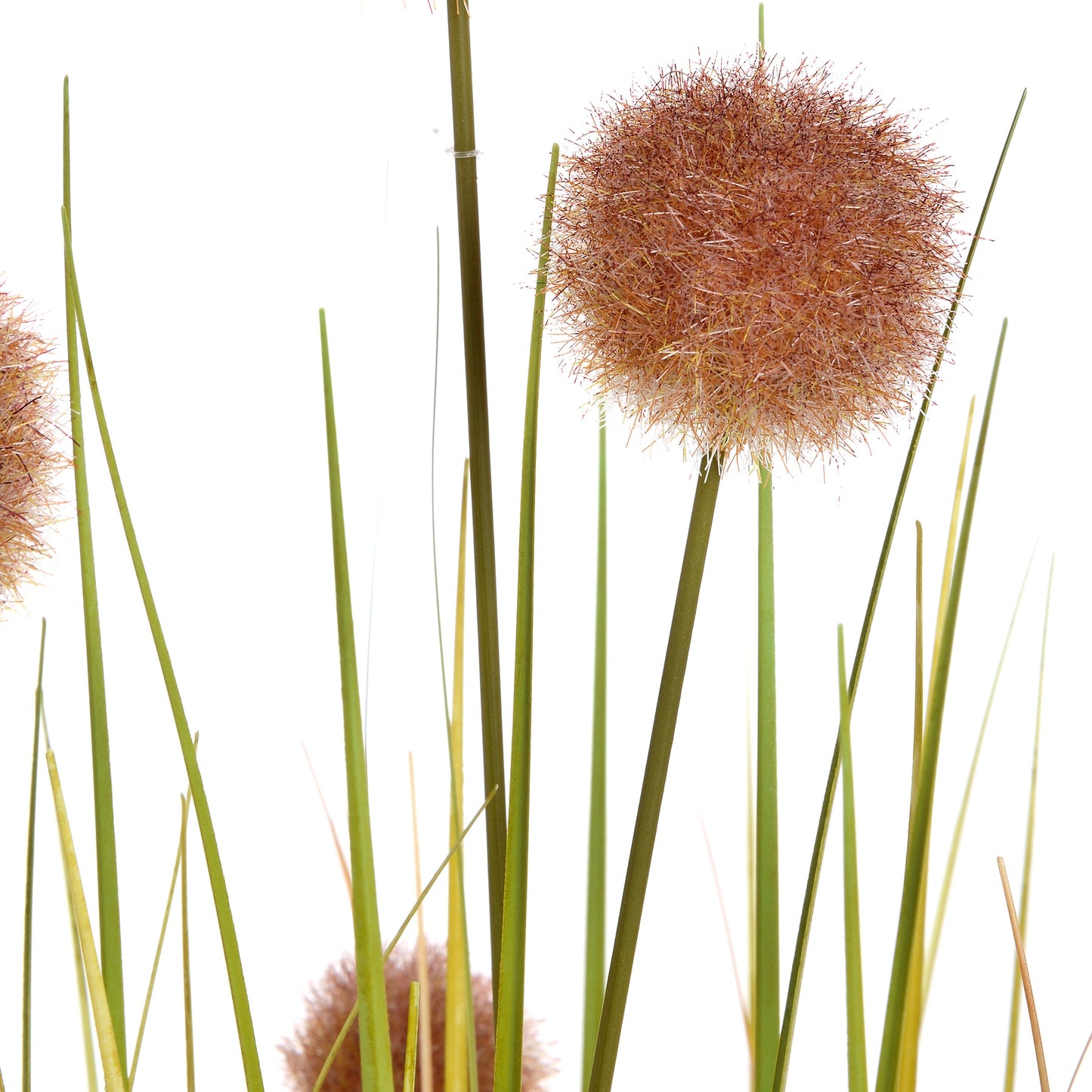 Pom Pom Grass Pot