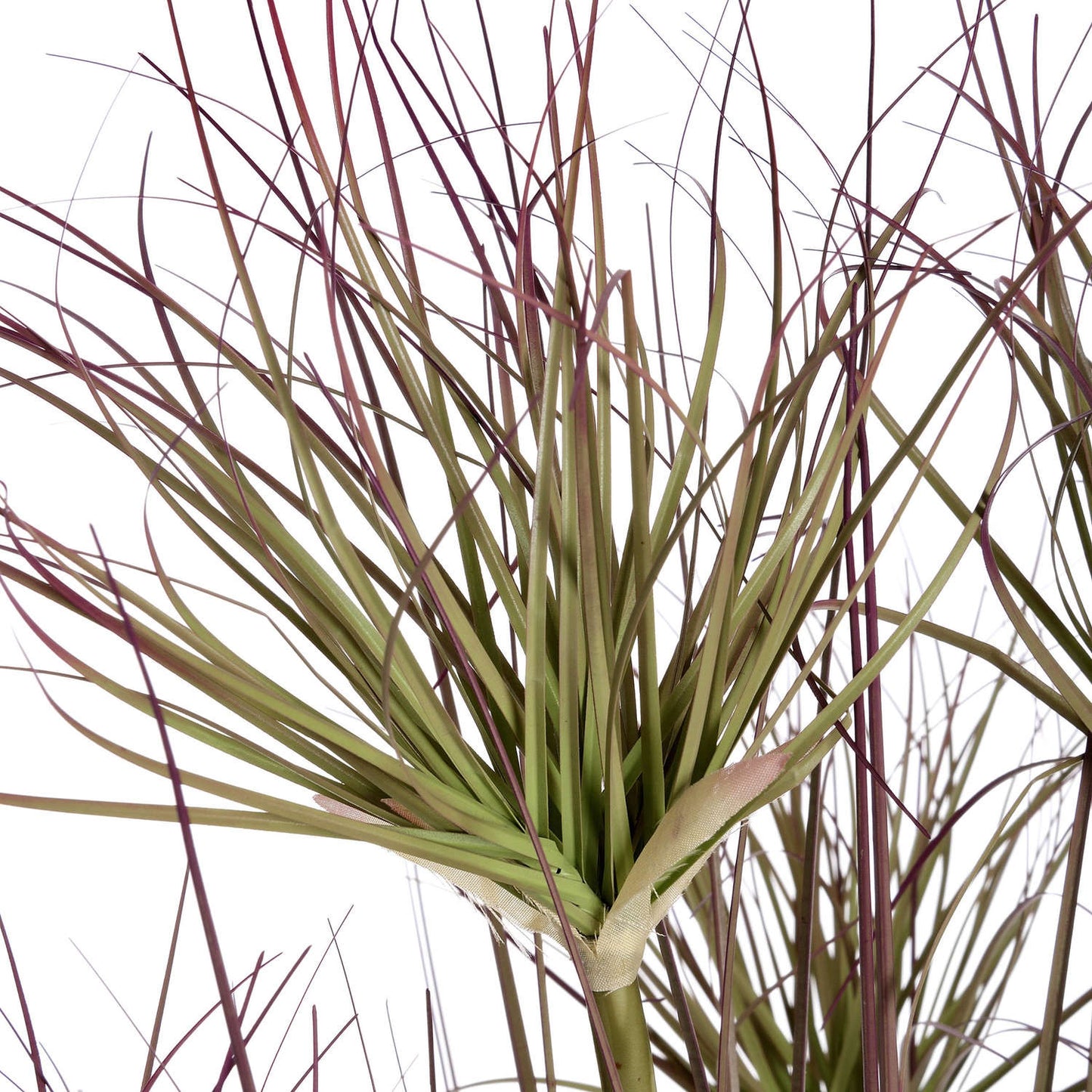 Water Bamboo Grass 48 Inch