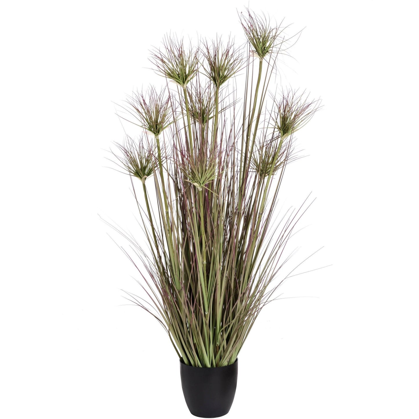 Water Bamboo Grass 48 Inch