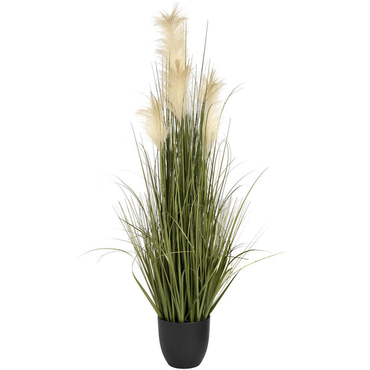 Pampas Grass Bush