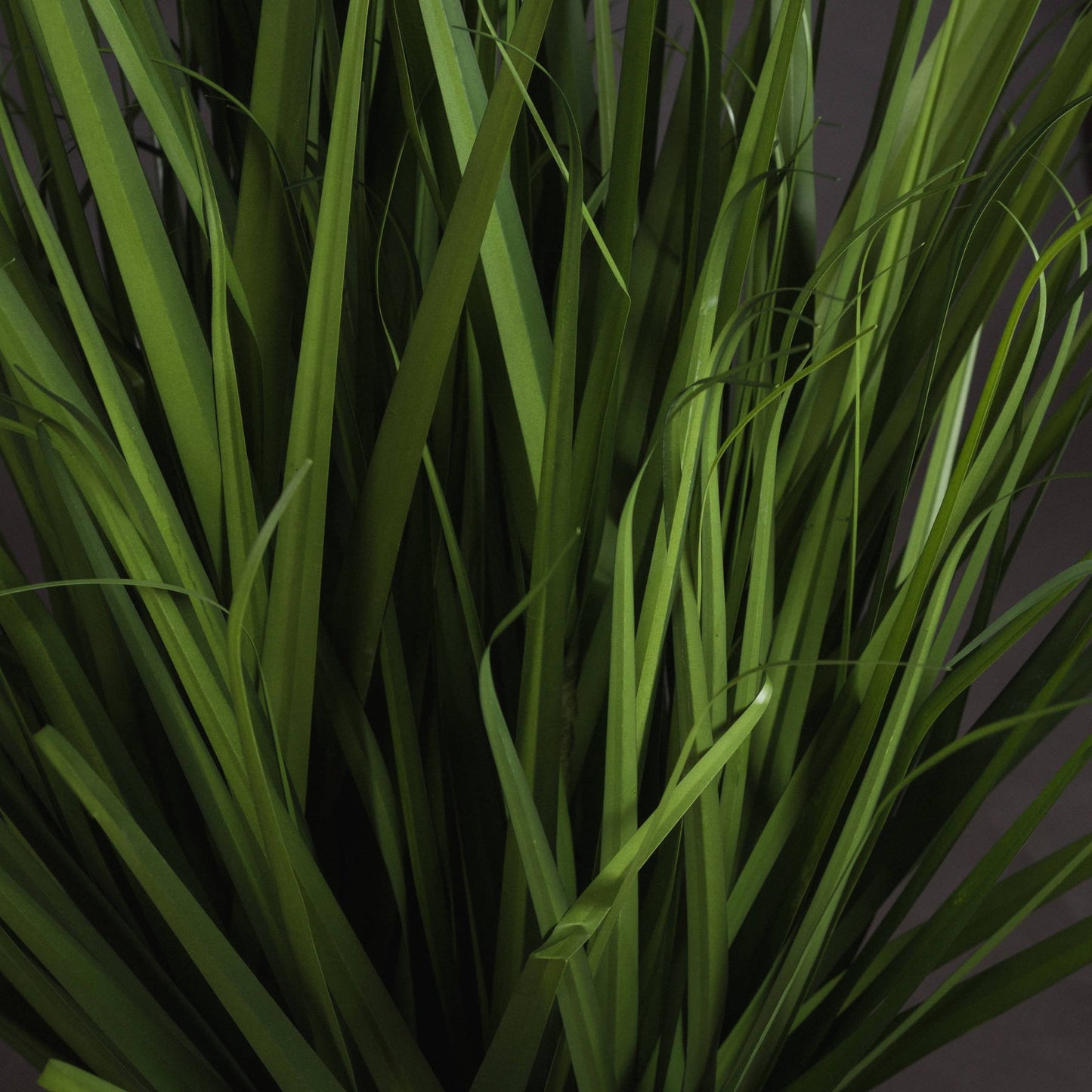 Large Field Grass pot