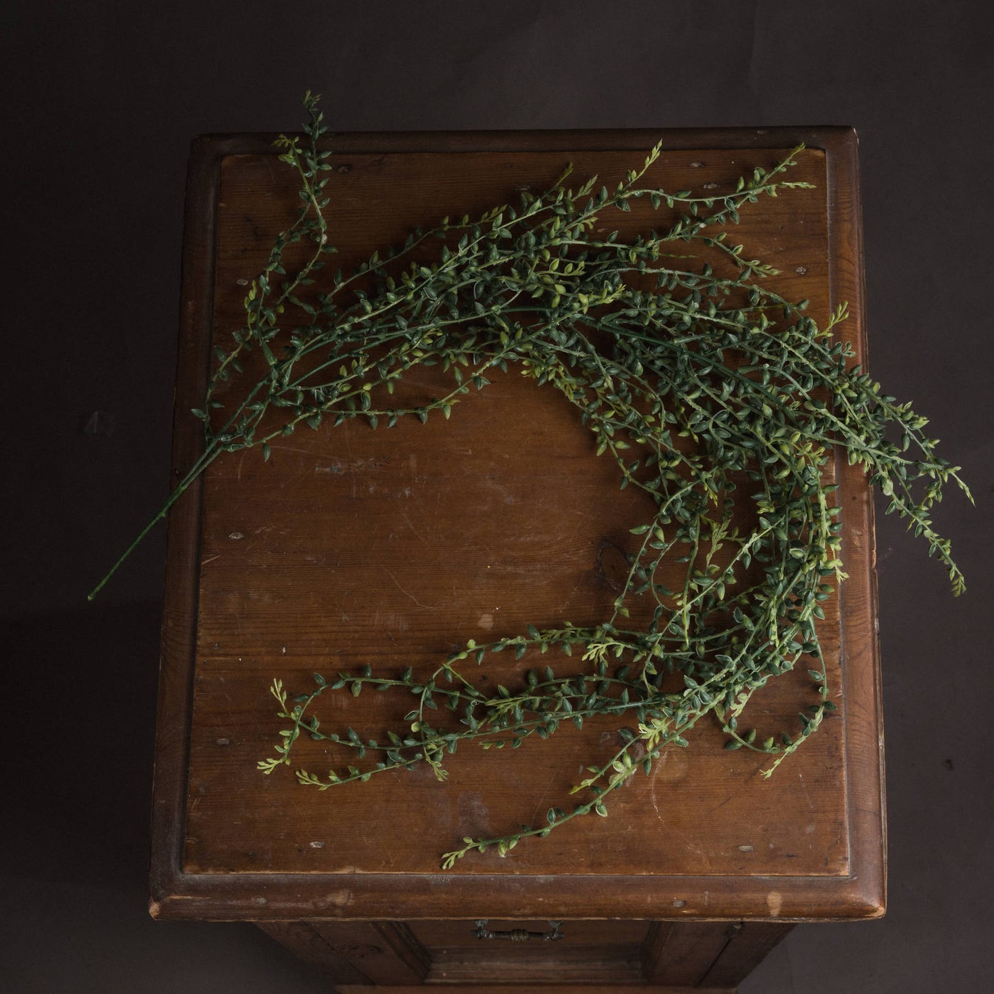 Large Senecio String