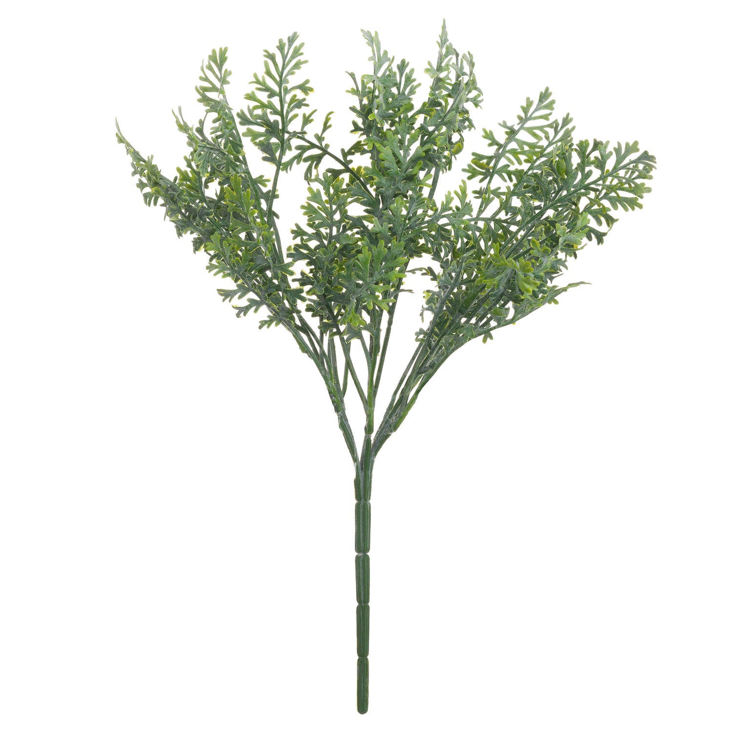 Wormwood Spray