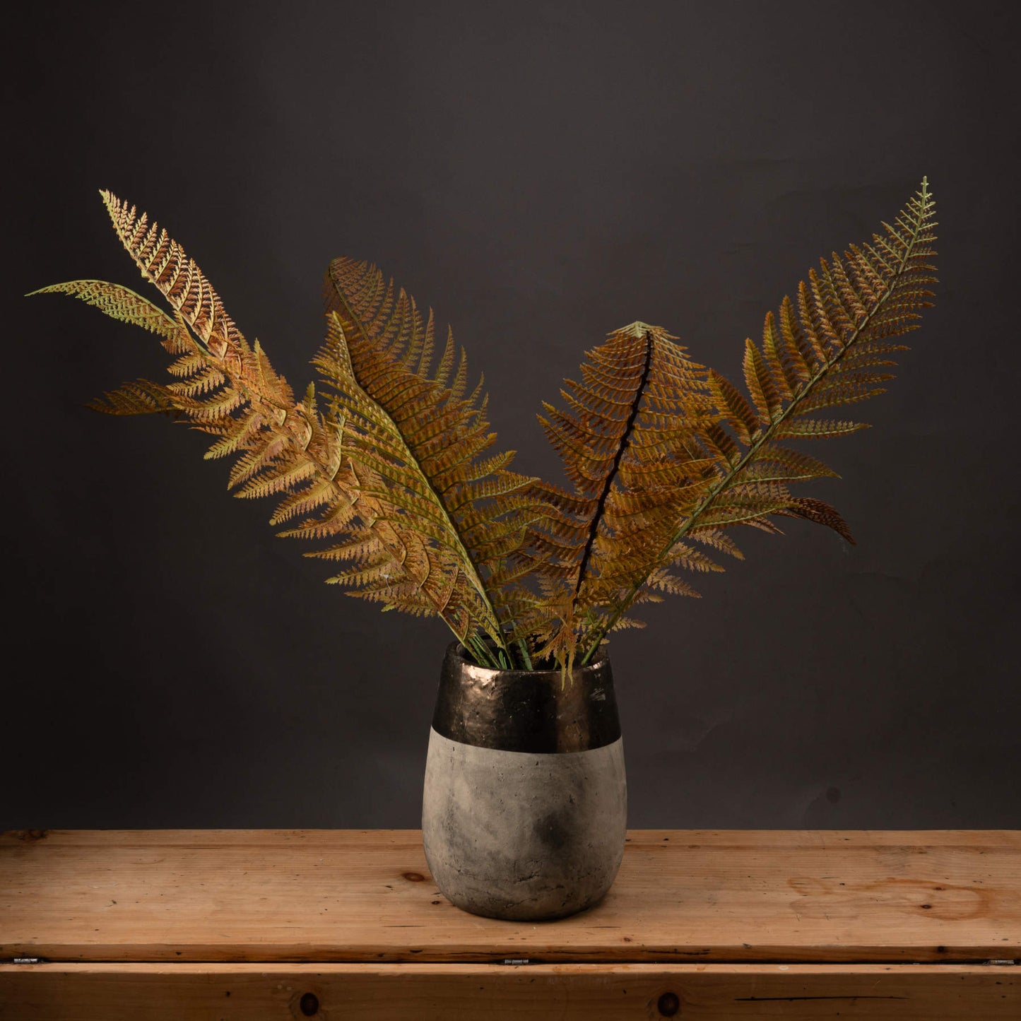 Single Autumn Fern Stem