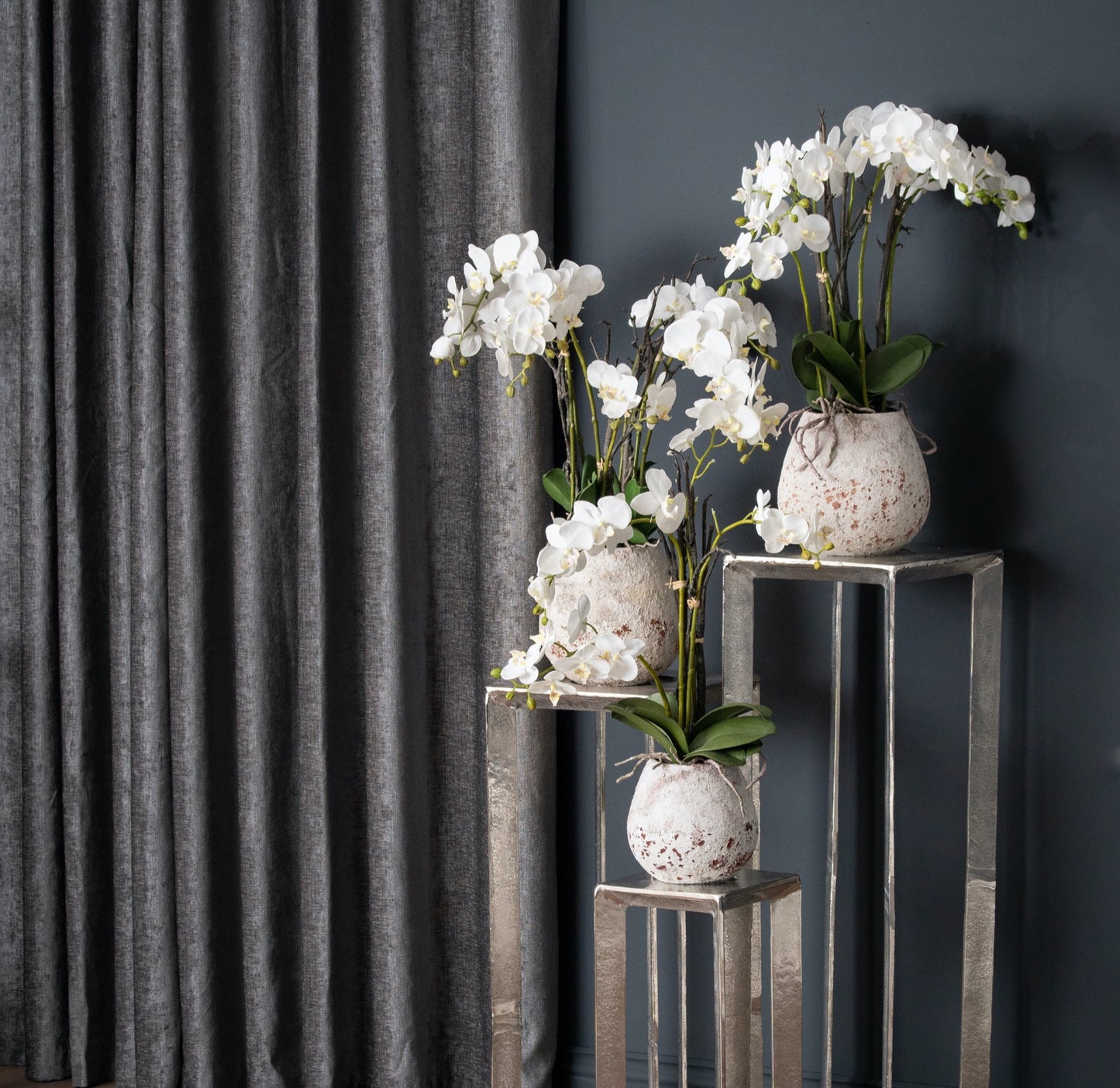 White Orchid In Stone Pot