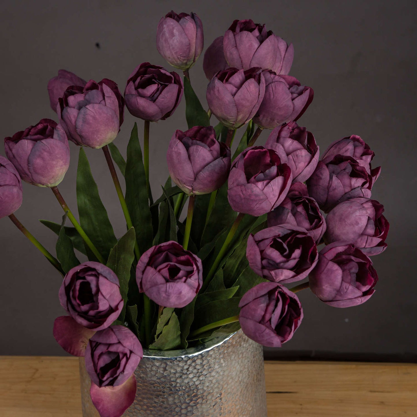 Purple Tulip