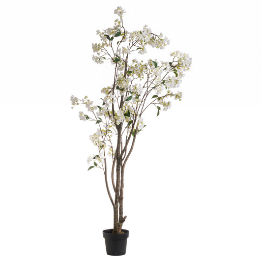 White Wedding Tree