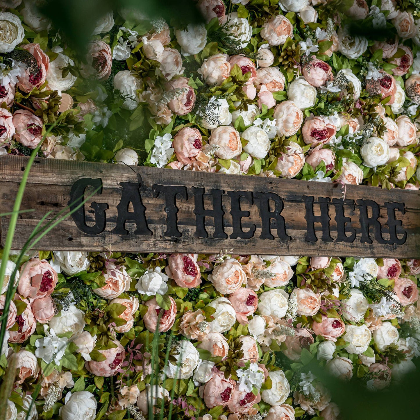 Peony Flower Wall