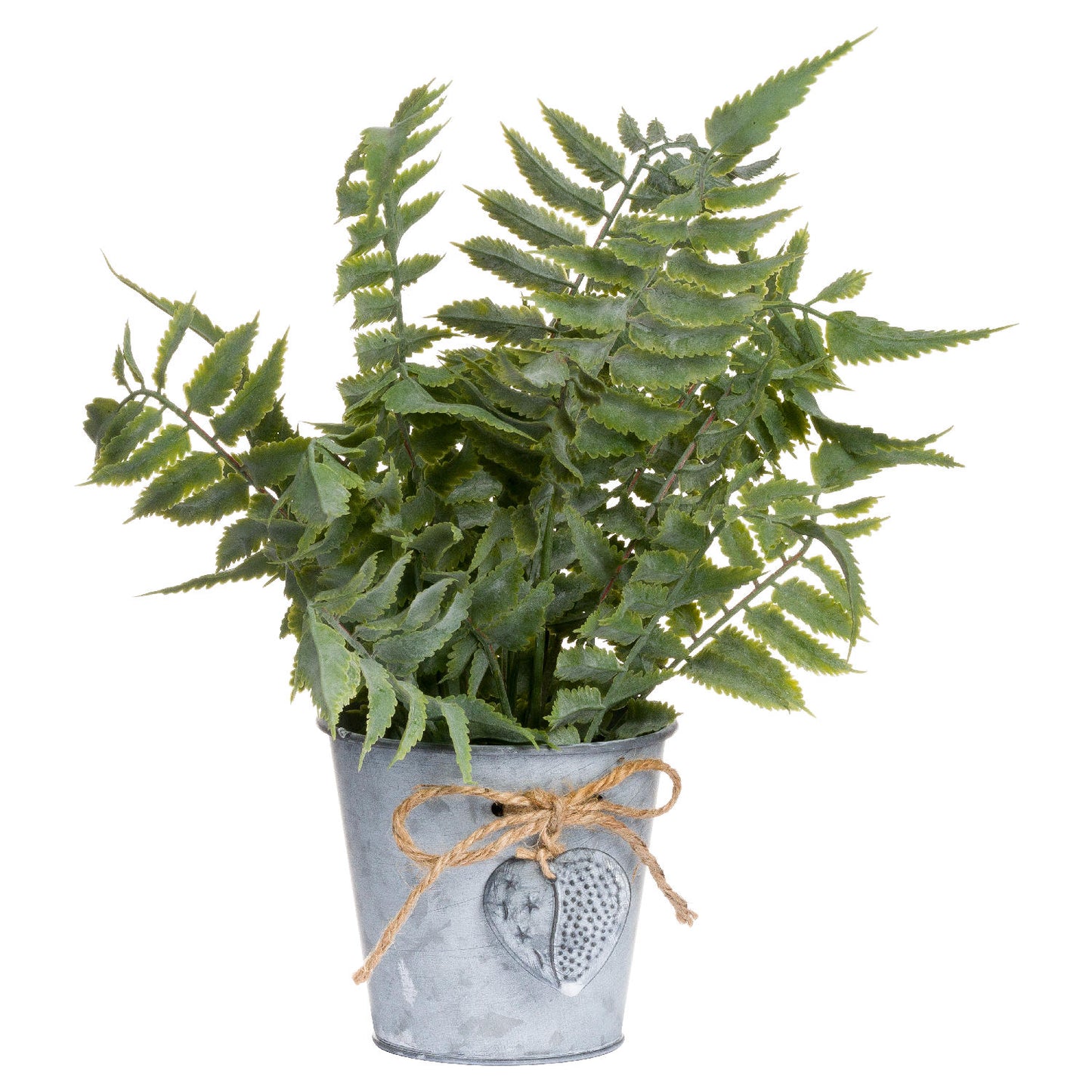 Sage Fern In A Tin Pot