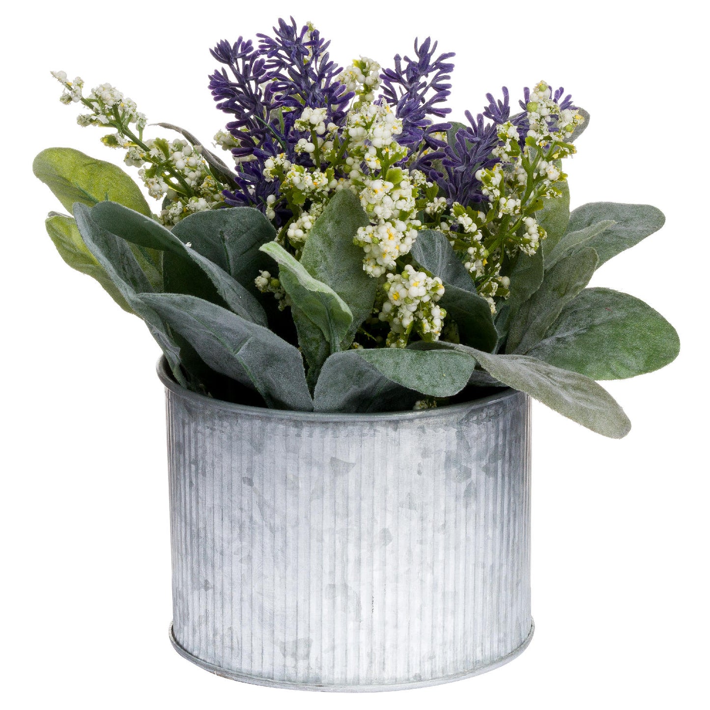 Lavender And Lily In Tin Pot