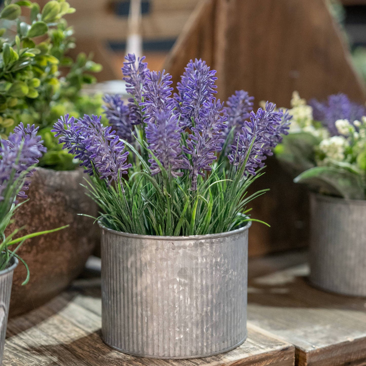 Lavender In Mini Dolly Tin