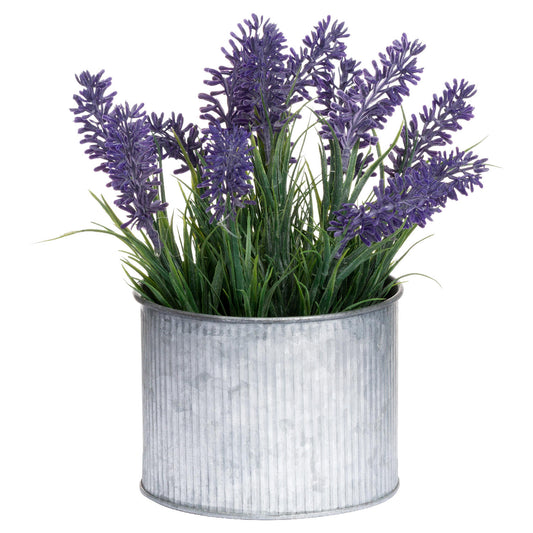 Lavender In Mini Dolly Tin