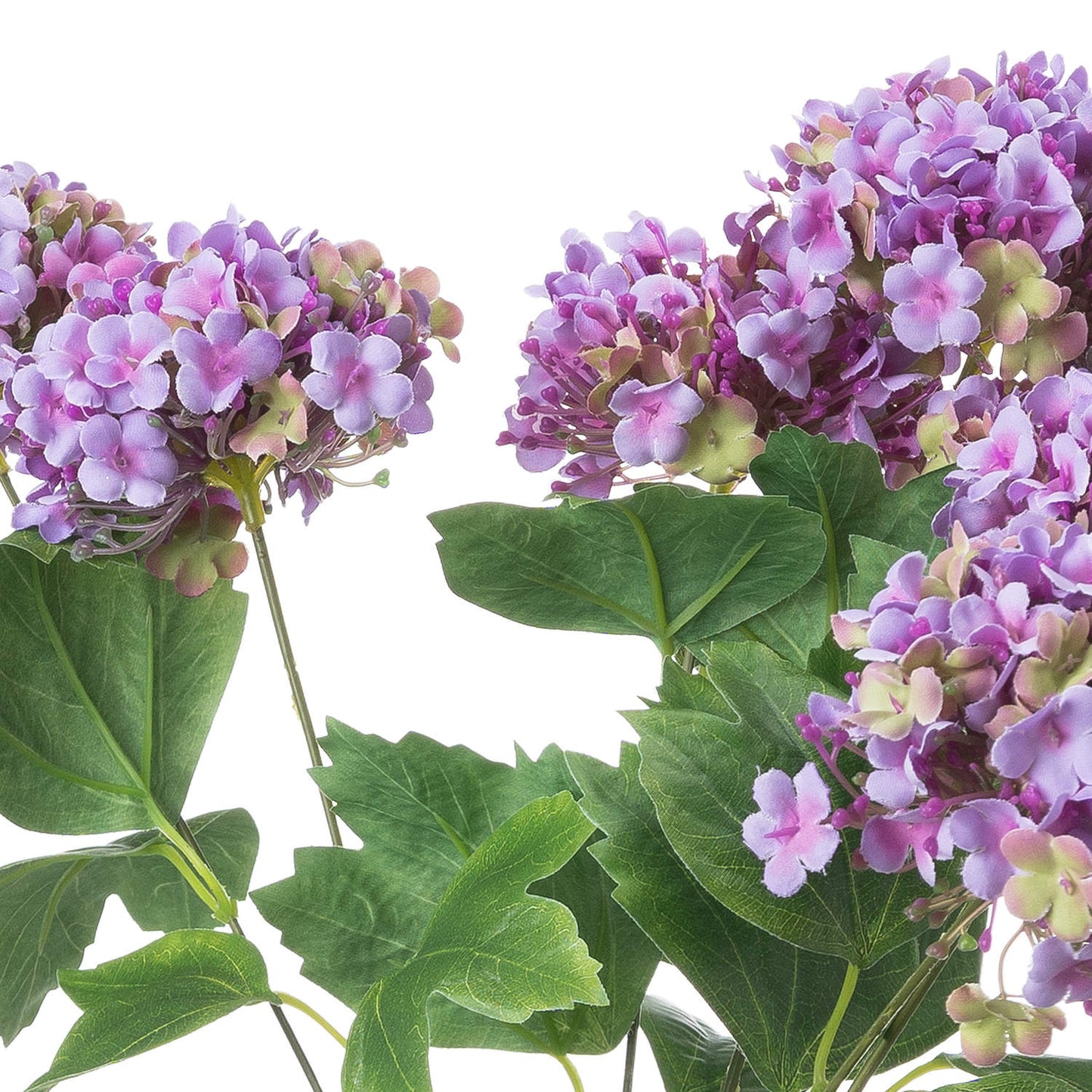 Vibrant Purple Viburnum Style Spray