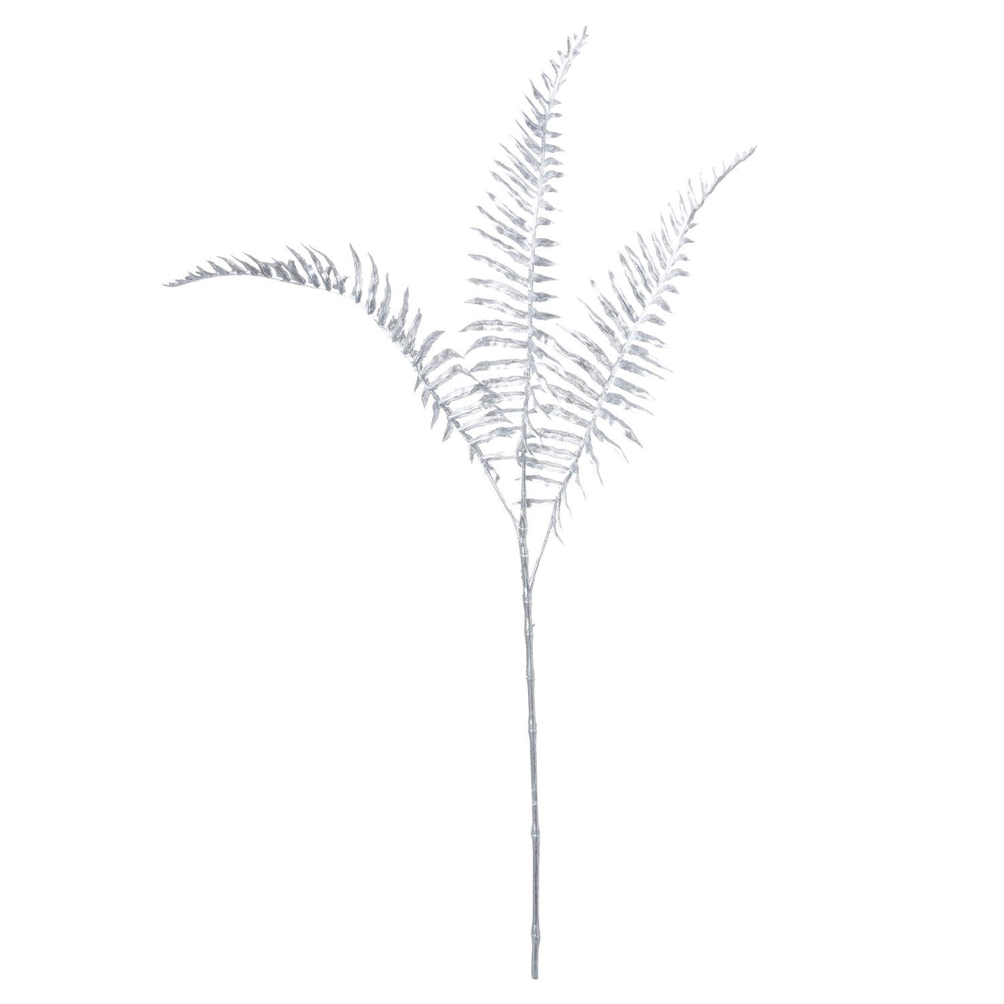 Single Silver Fern