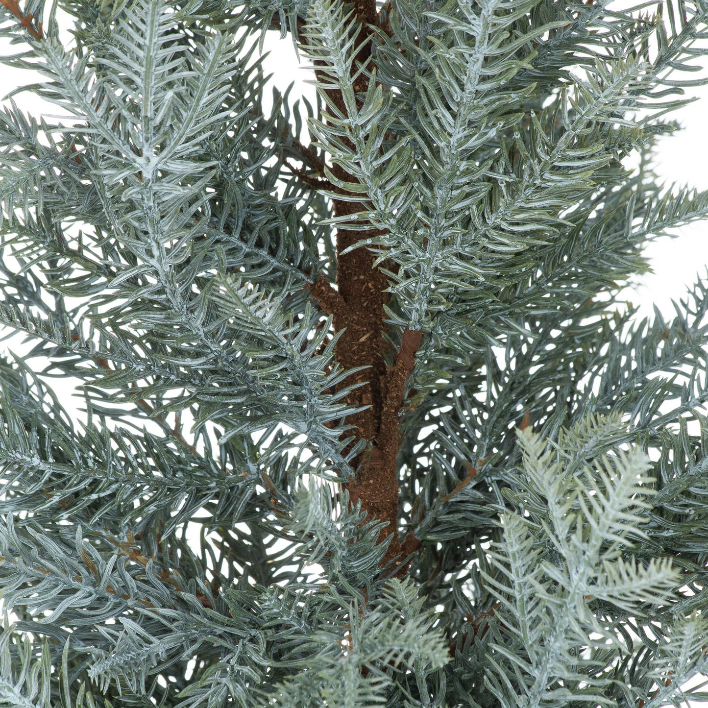 Tall Christmas Fir Tree In Stone