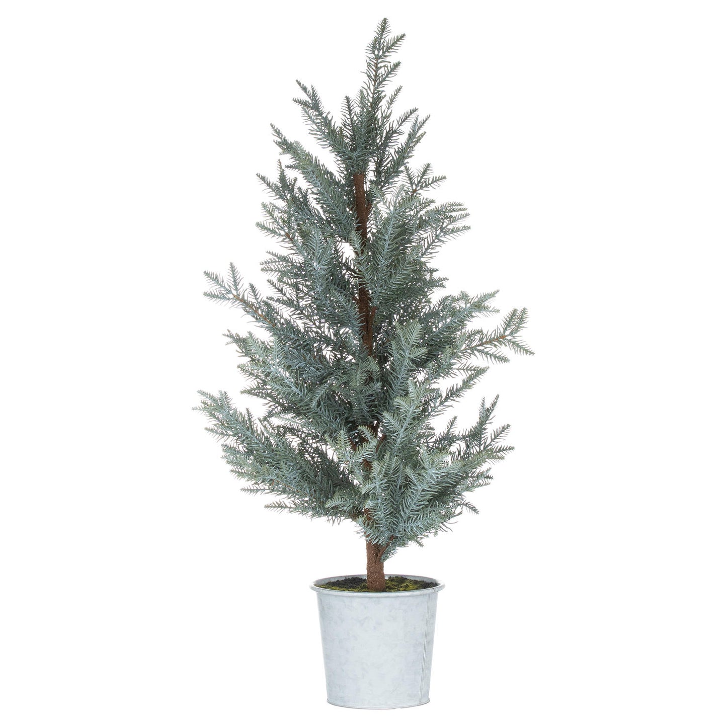 Tall Christmas Fir Tree In Stone