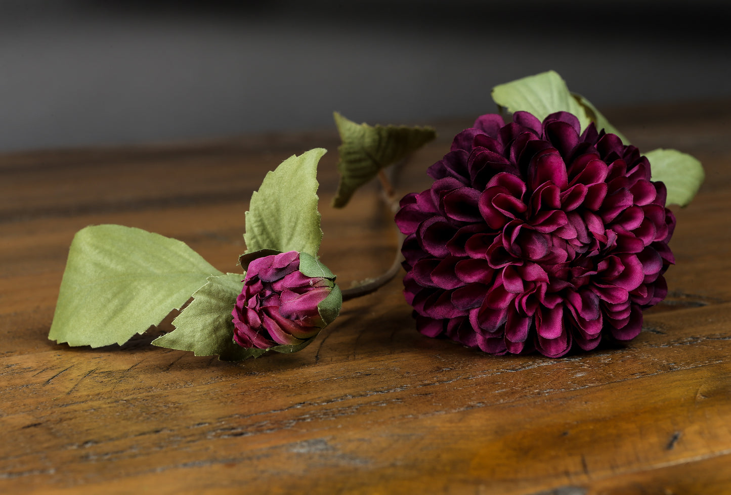 Dusty Pink Dahlia Stem