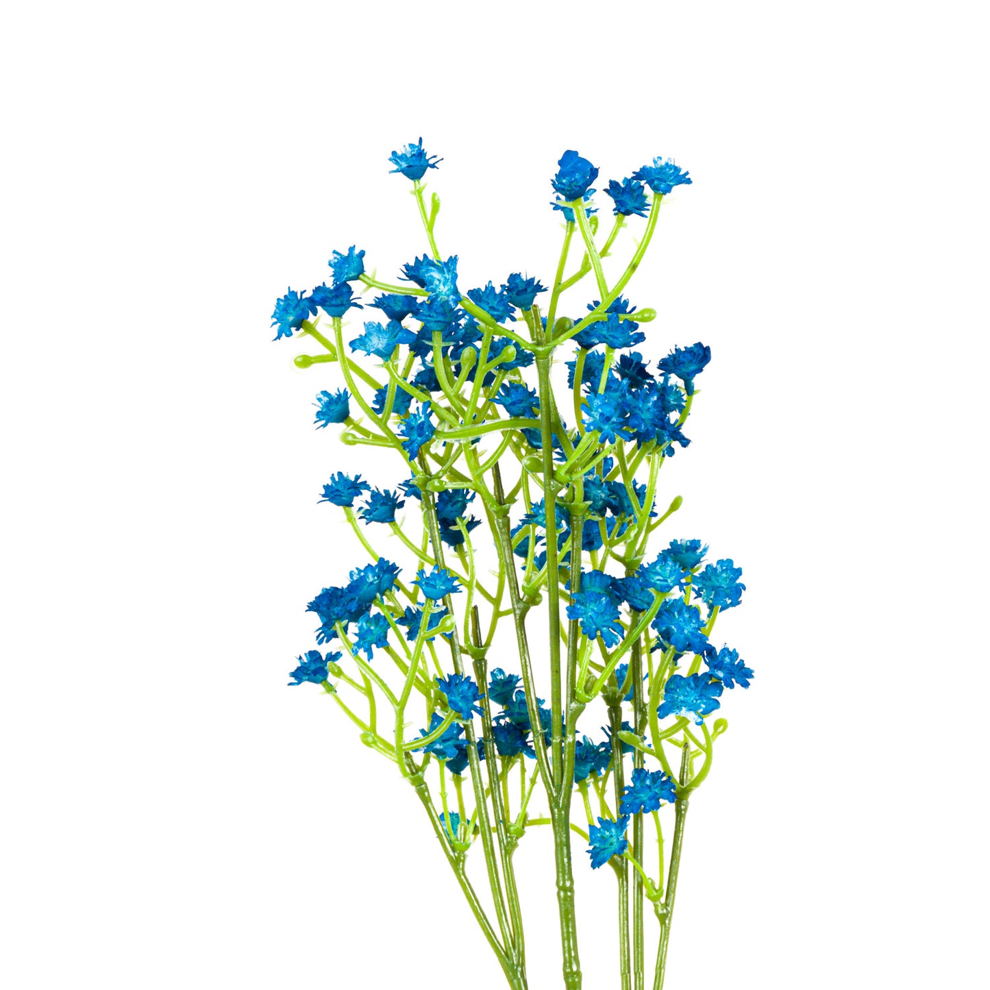 Blue Forget Me Not Spray